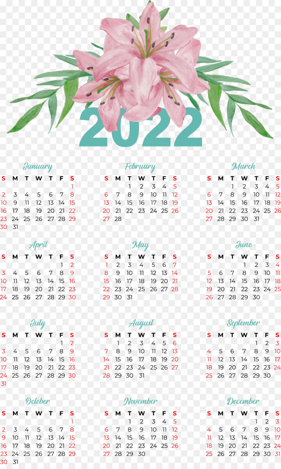 Metro del calendario del fiore Scienza della pianta - 