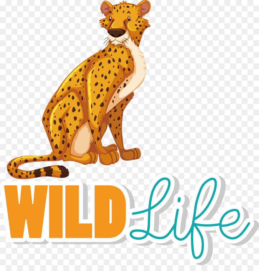 Cheetah Tiger Leopard Cougar Jaguar - 
