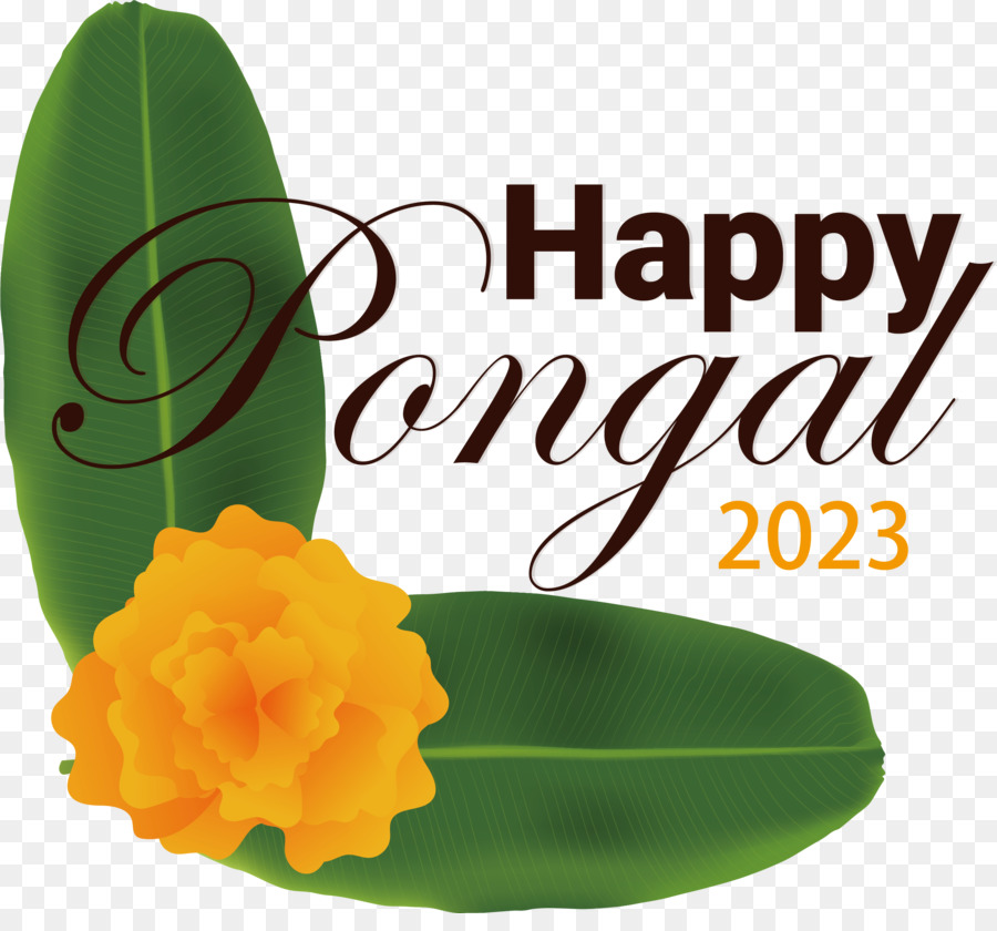 Pongal - 