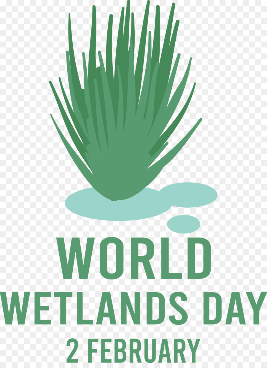 world wetlands day