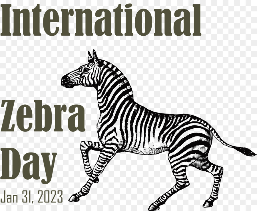 Internationaler Zebra -Tag - 