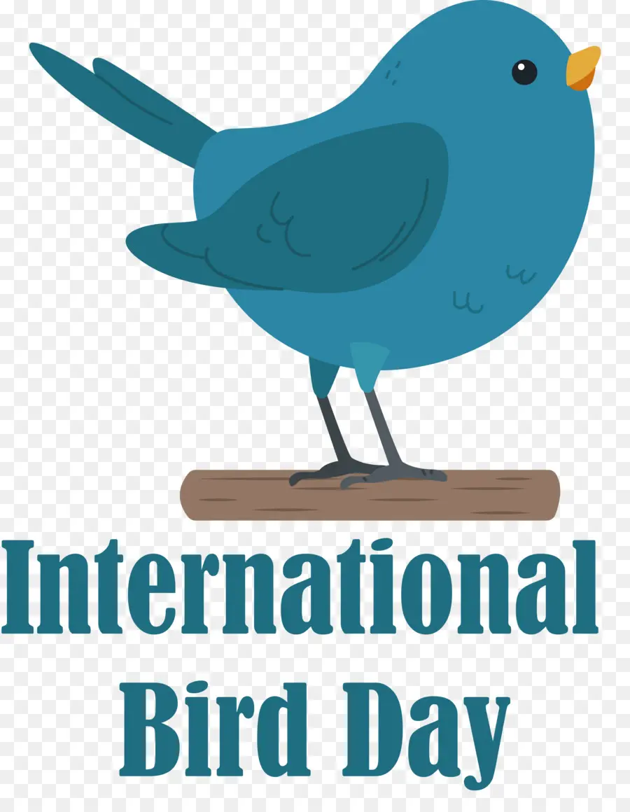 Internationaler Vogel Tag Vogel Tag Vogel - 