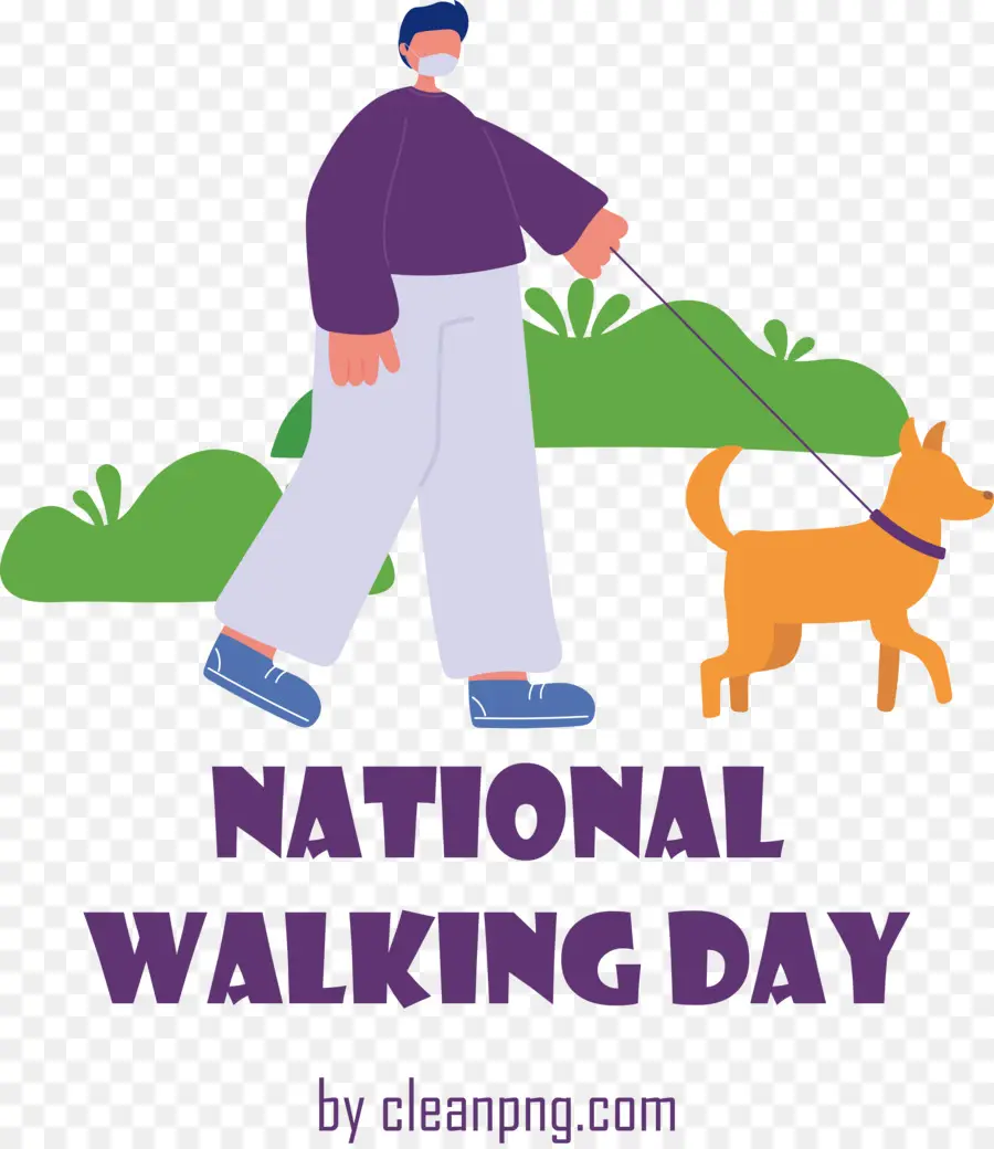 national walking day walking day walking sport