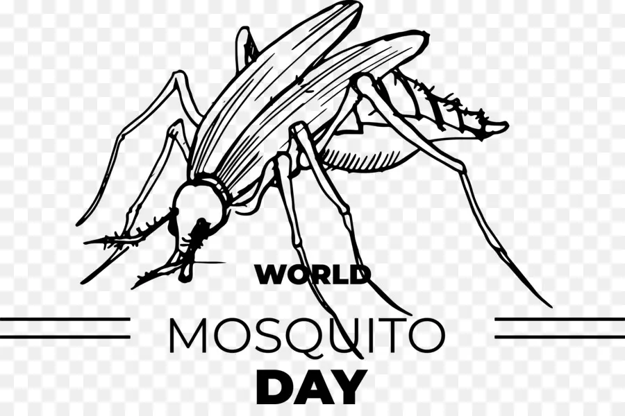 Welt Malaria Day Malaria Day Gesundheit - 