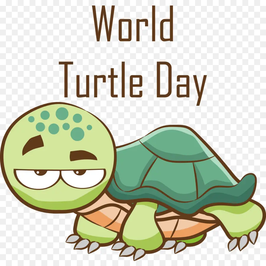 World Turtle Day Turtle Day - 