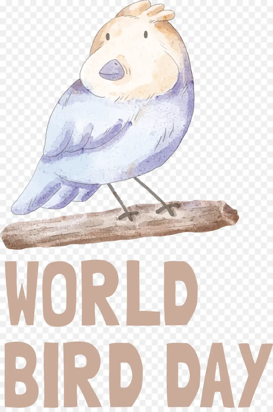 Ngày chim quốc tế chim - 