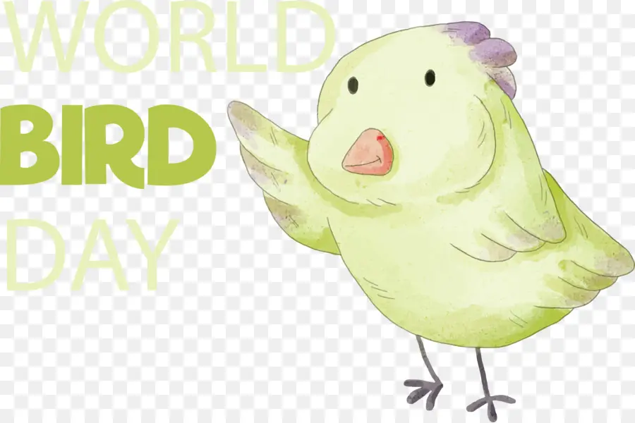 Bird Day International Bird Day Vogel - 