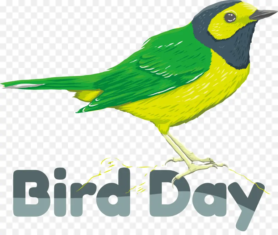 Ngày chim quốc tế Bird - 