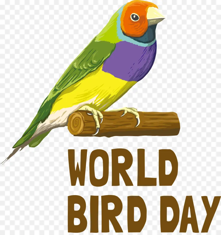Ngày chim quốc tế Bird - 