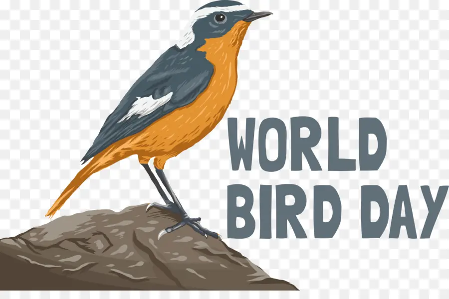 Uccello internazionale per uccelli uccelli uccelli - 