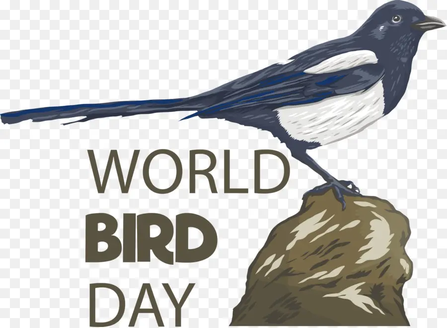 Uccello internazionale per uccelli uccelli uccelli - 