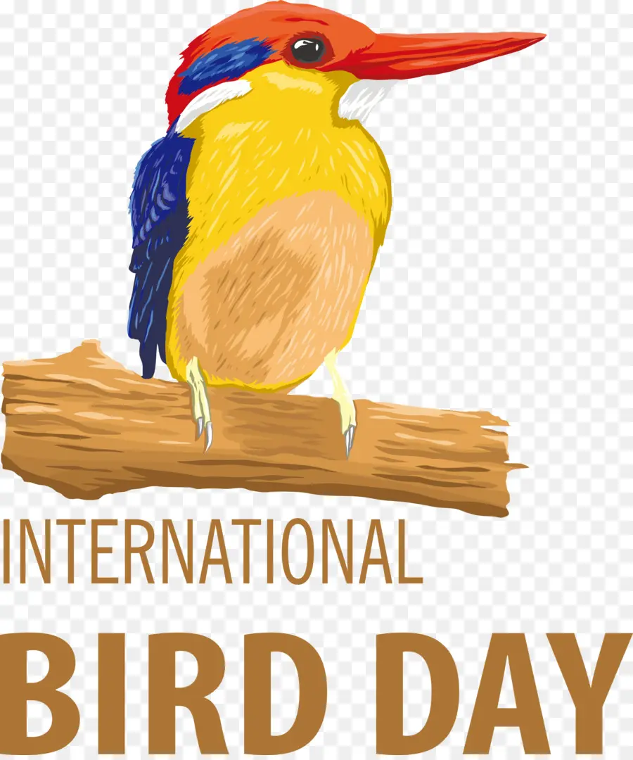 Ngày quốc tế chim ngày chim - 