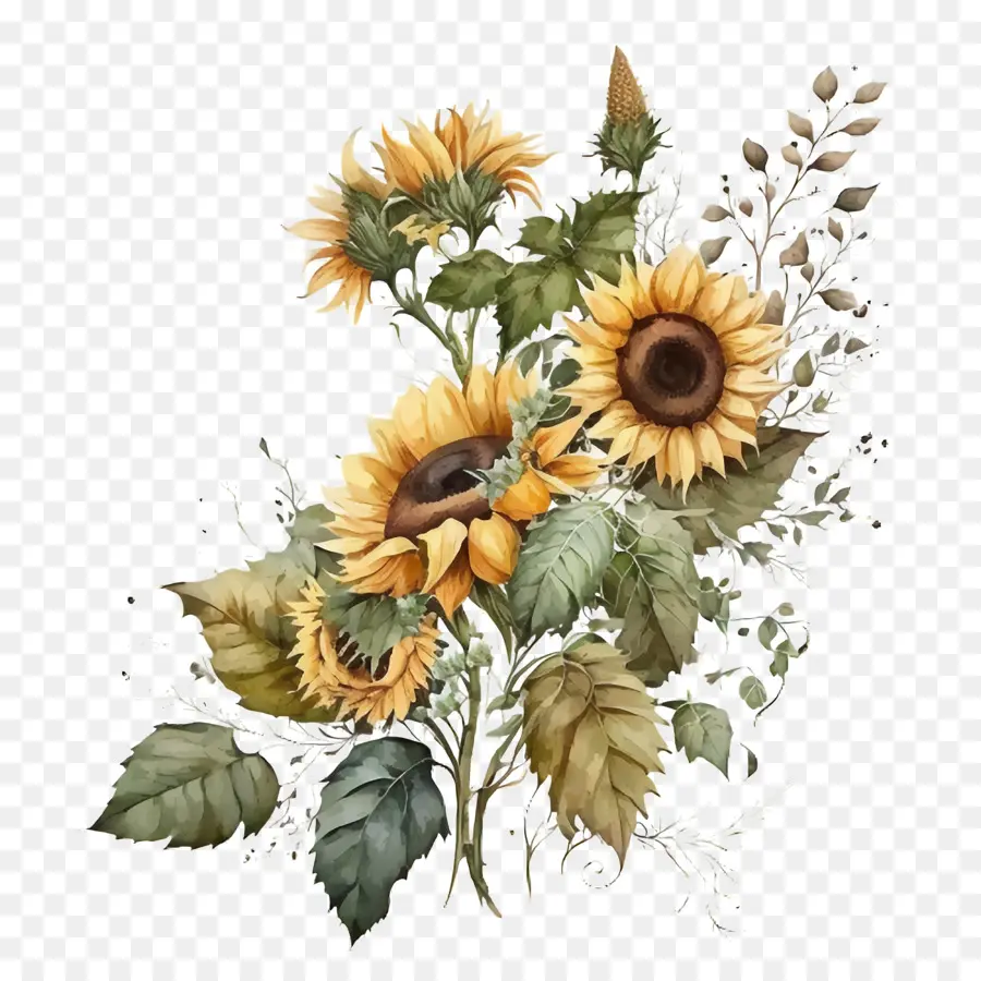 watercolor sunflower