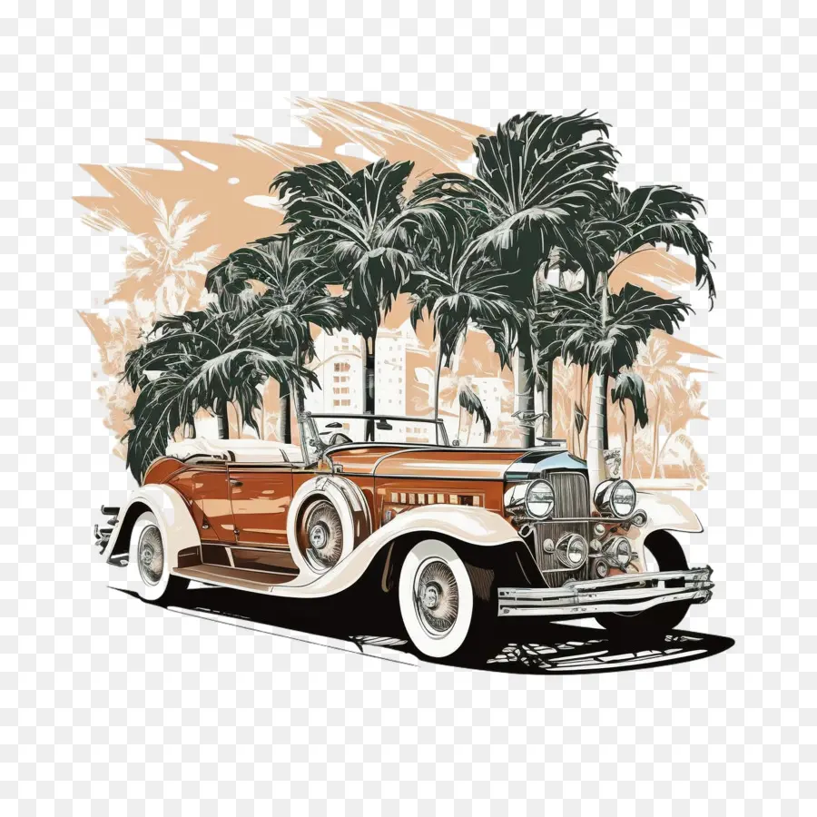 Classic Car Palm Beach - 