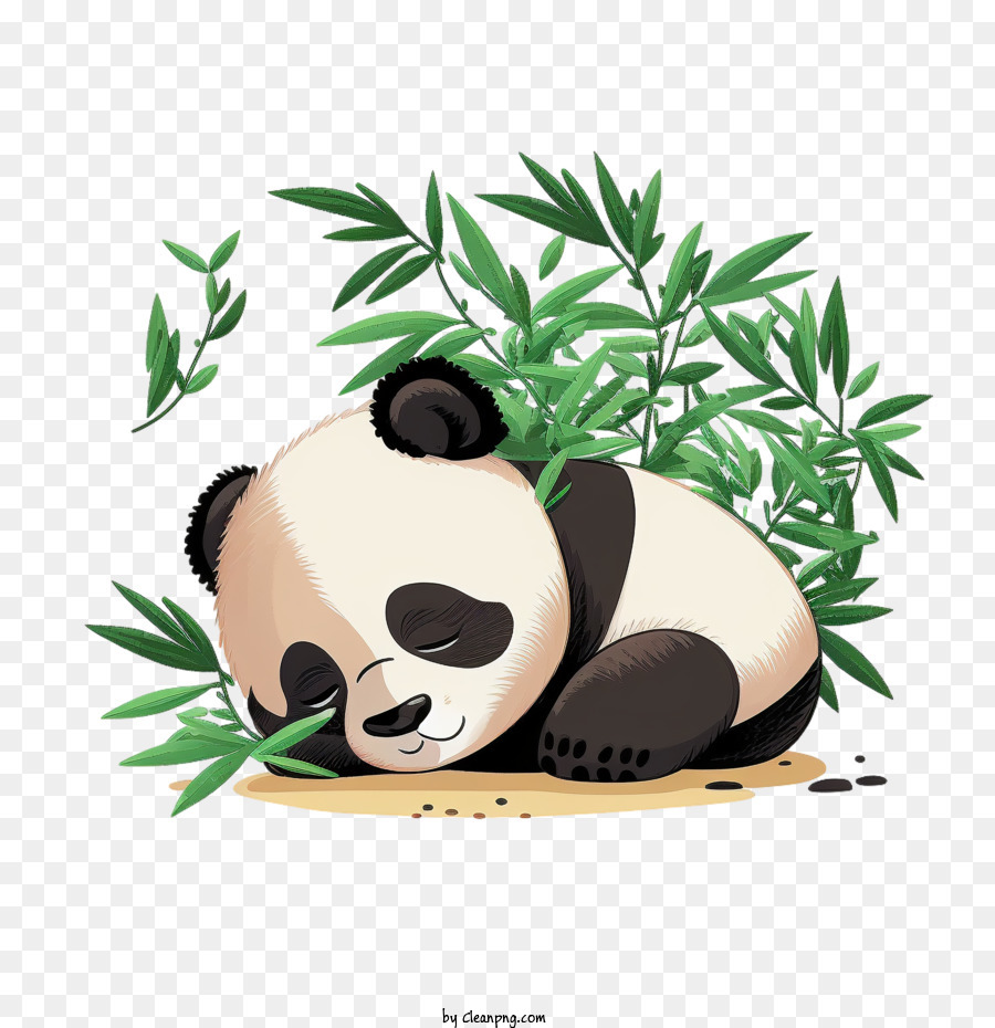 Panda Panda Panda Sleeping Bamboo Cartoon Style - 