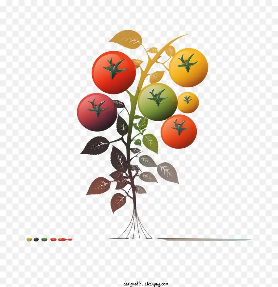 tomato stem colors of the 90s