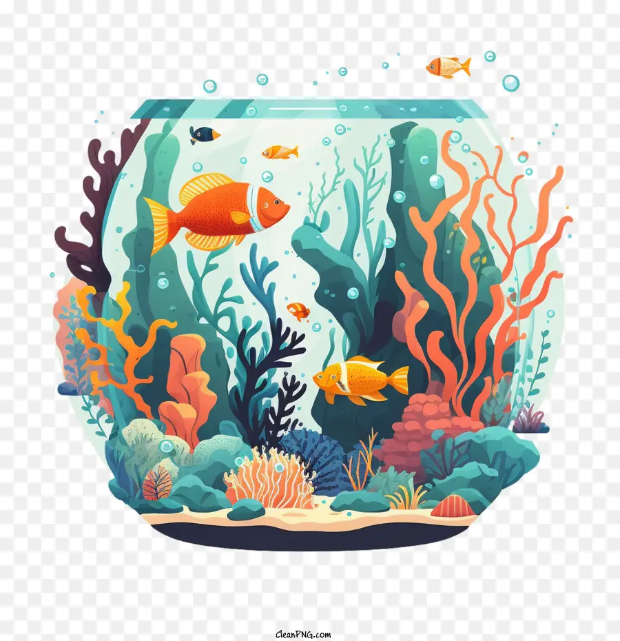 colorful fish aquarium corals