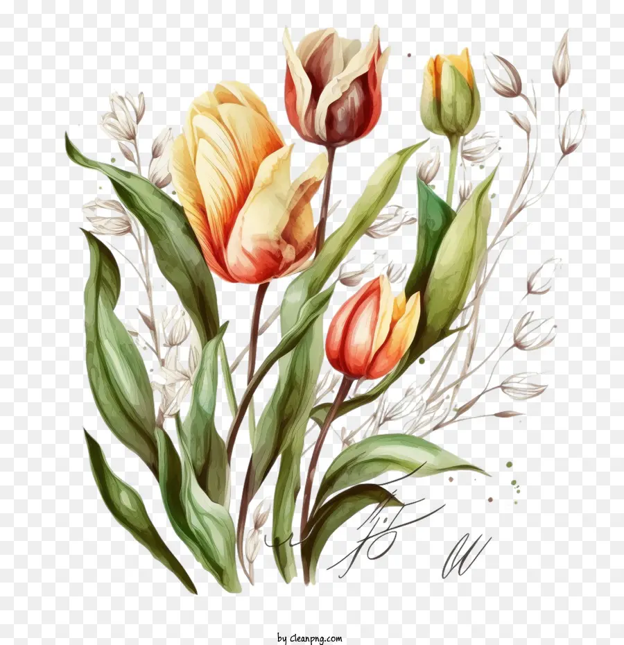 hand drawn tulips tulips branches leaves