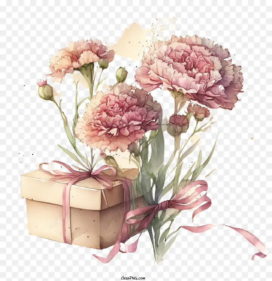 Hoa cẩm chướng màu nước với hộp quà tặng - 