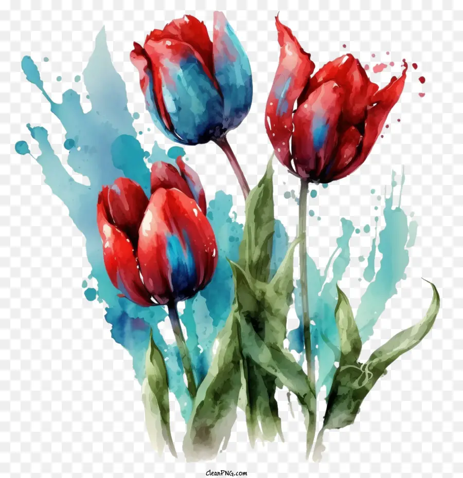 red and blue tulips watercolor tulips