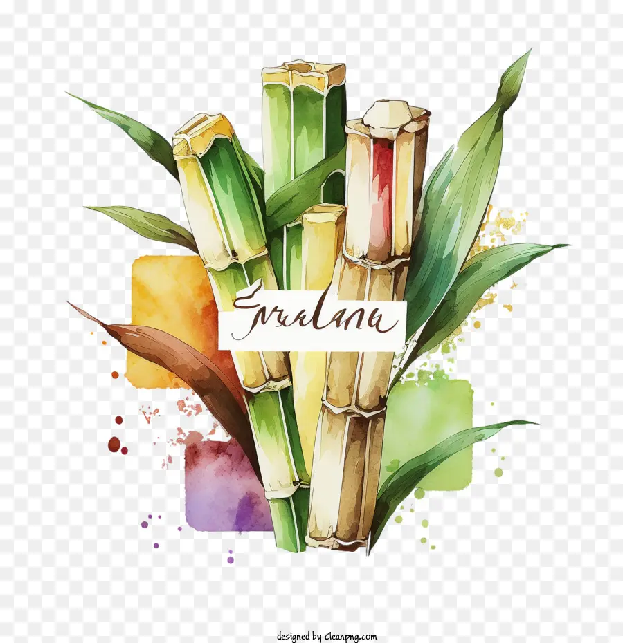 sugarcane watercolor sugarcane