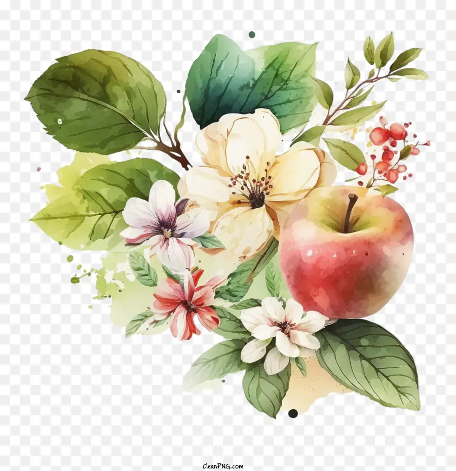 Handgezogene Apfel -Aquarell Apfel Apfelblüten Blätter Blätter - 