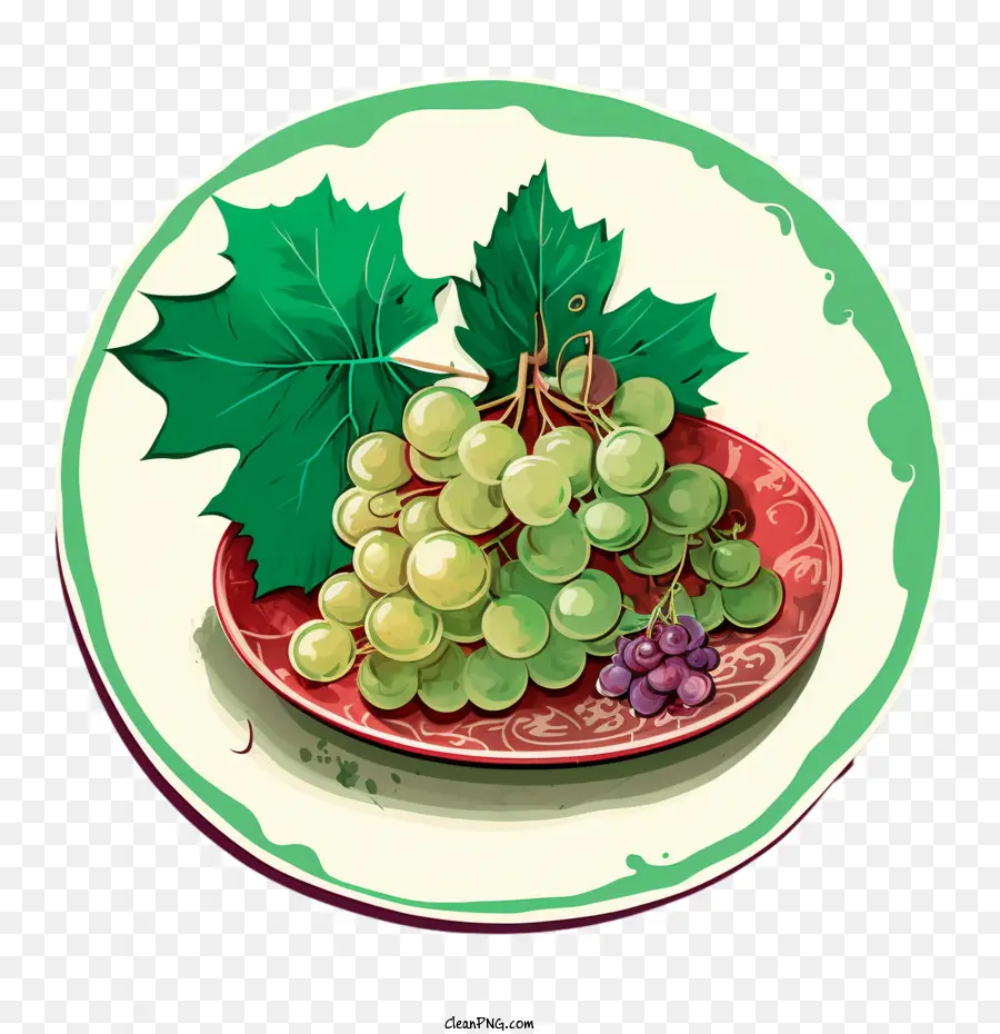 green grapes watercolor grapes