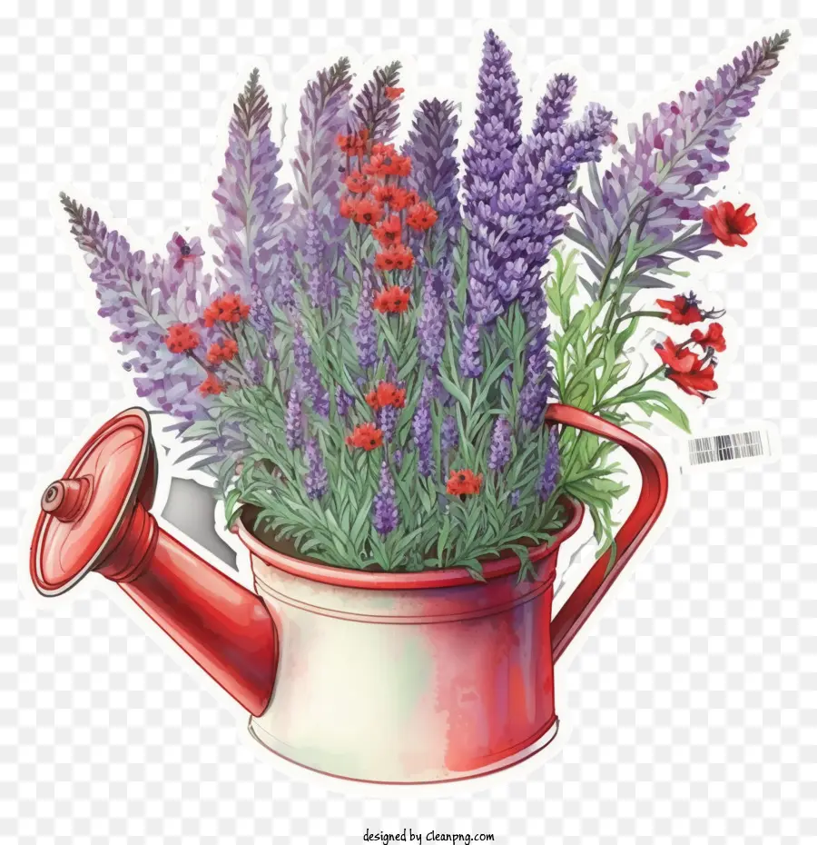 lavender flowers lavender in watering can watering can flowers gardening