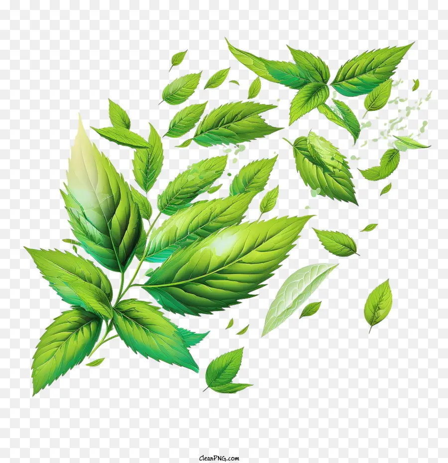 foglie di menta fresche che volano foglie di menta foglie di menta verde foglie - 