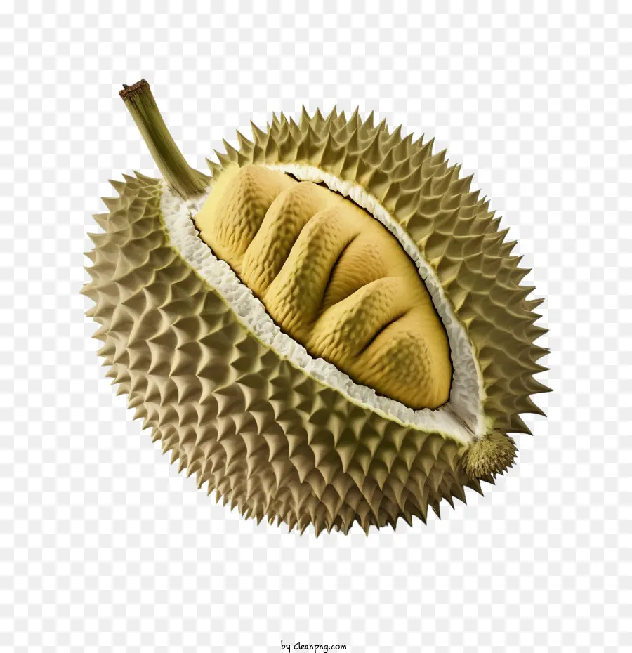 3d durian durian maturo frutto giallo - 