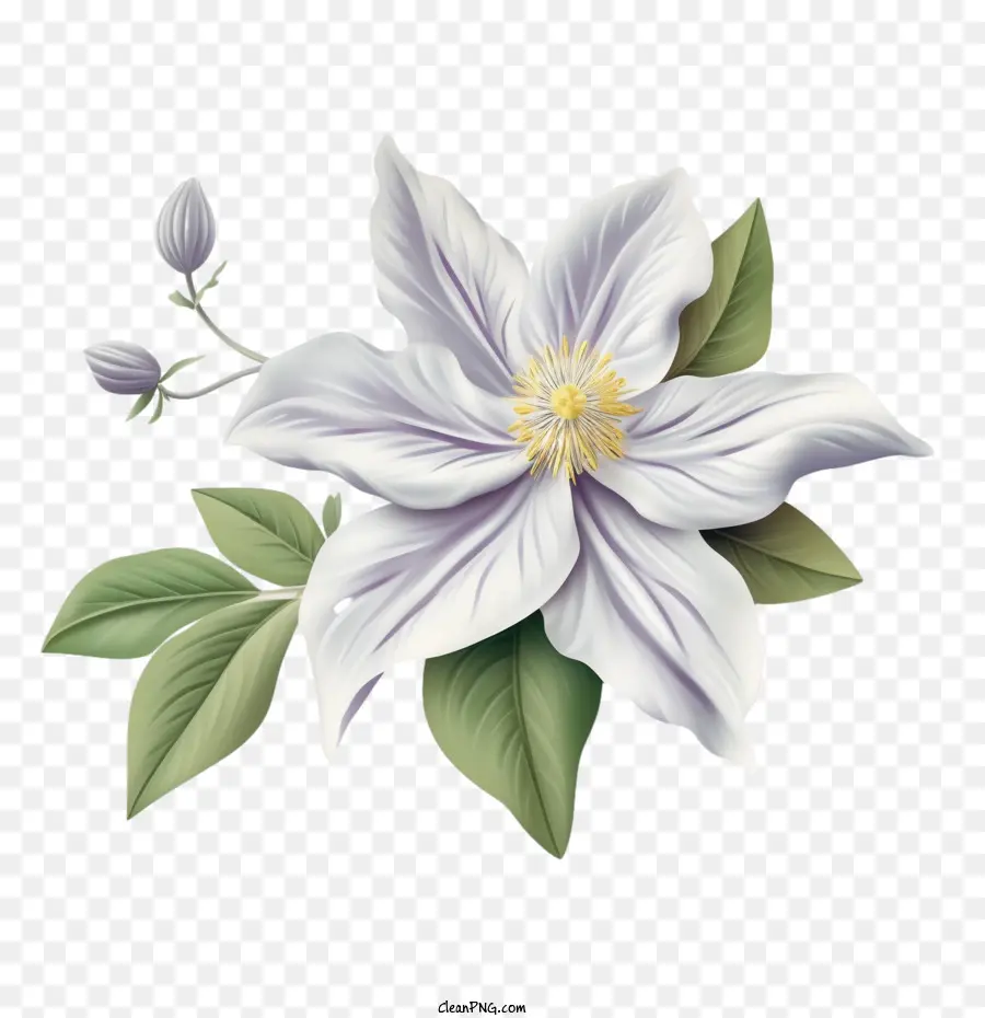 fiore bianco - 