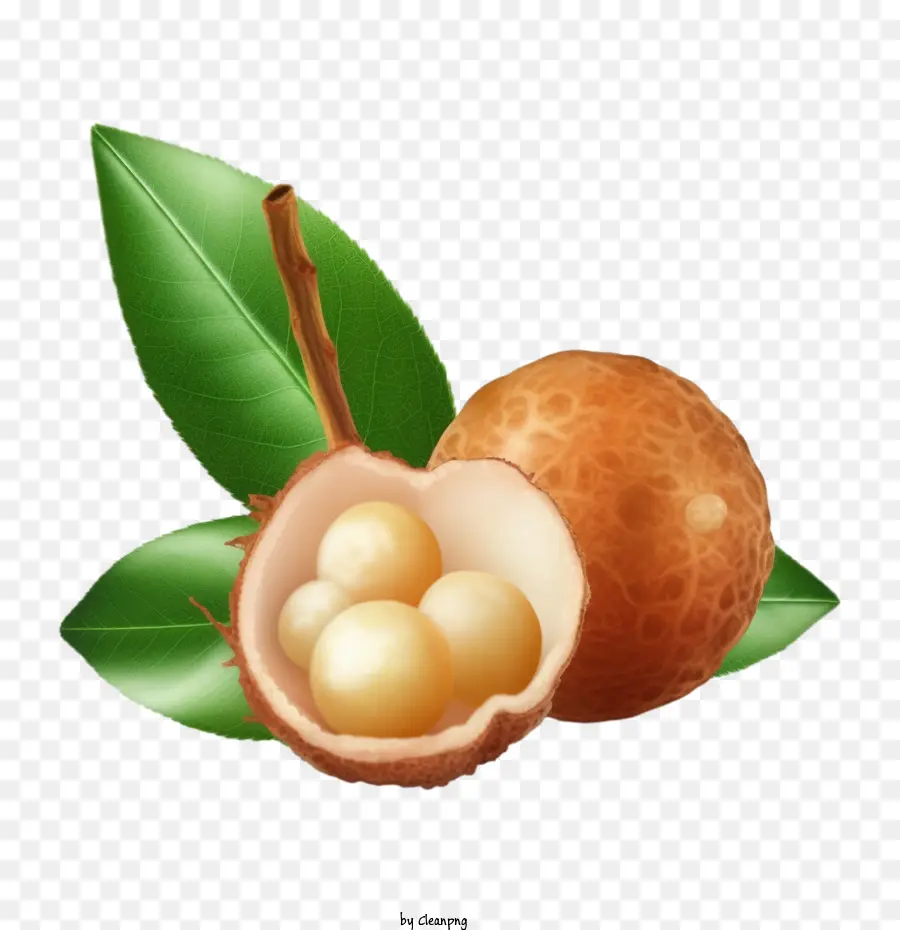 Longan Longan Fruit chuối gọt vỏ trái cây - 