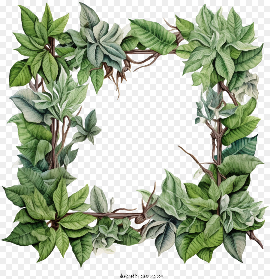plant vine frame green leaves vines flowers wreath png download - 4096*4096  - Free Transparent Plant Vine Frame png Download. - CleanPNG / KissPNG
