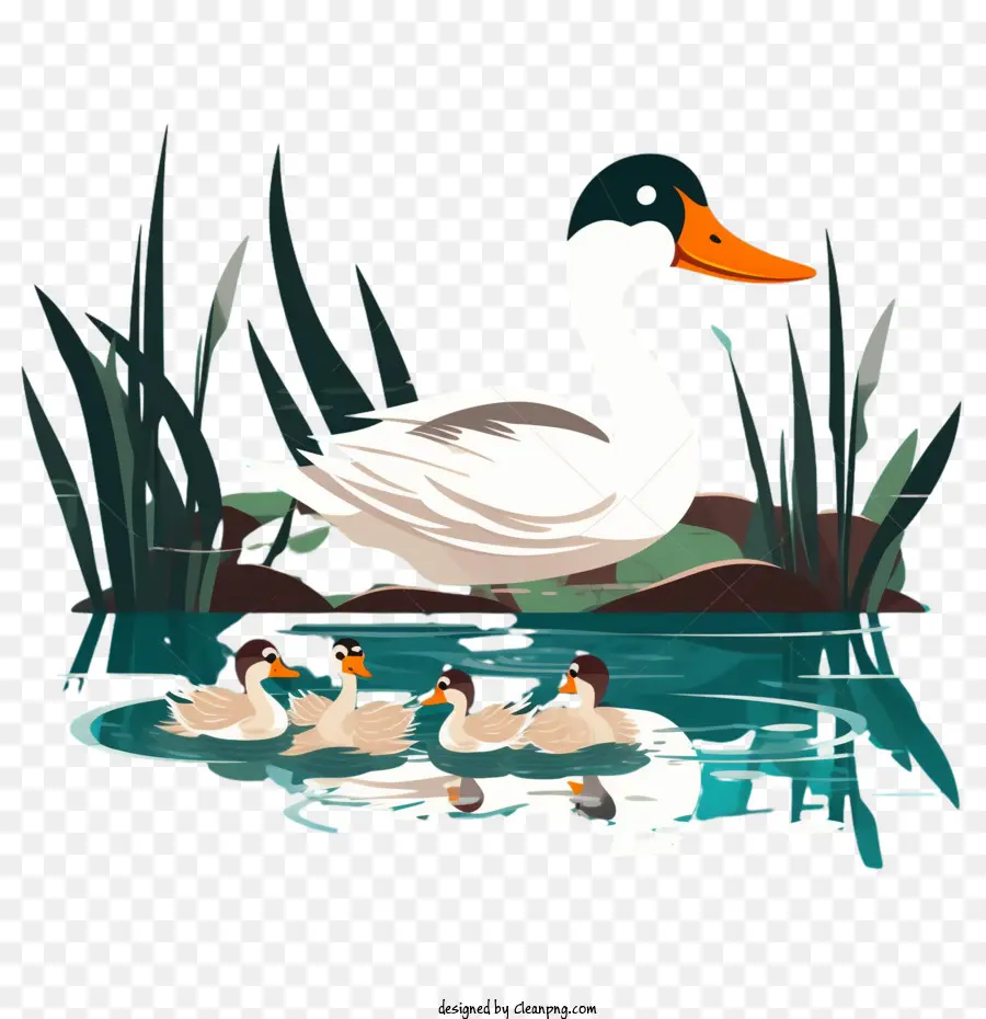 duck flat duck duck ducks family