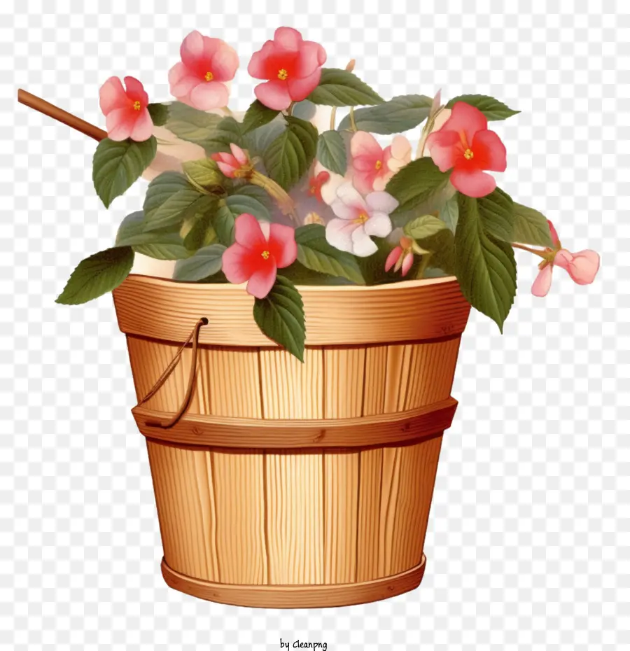 impatiens flower wooden bucket basket flowers pink