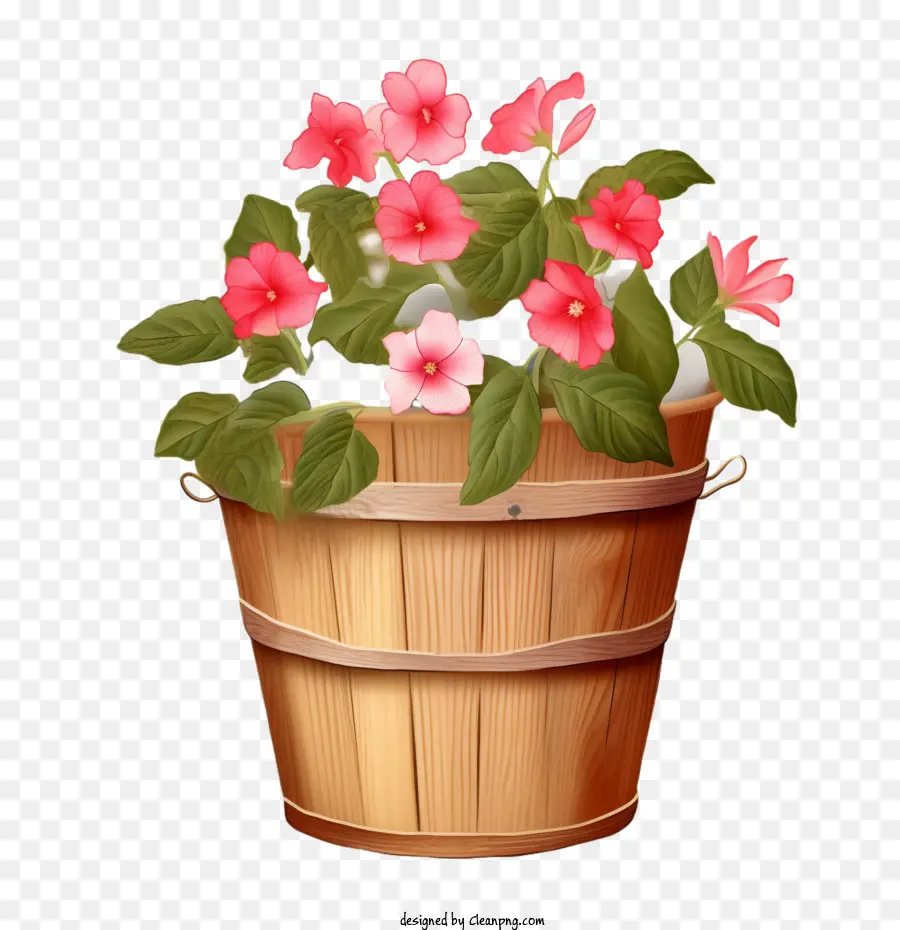 impatiens flower wooden bucket flower pink basket