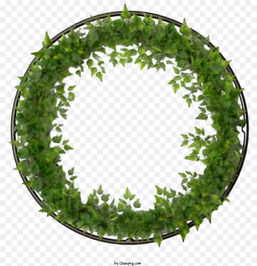 ivy wreath plant vine wreath