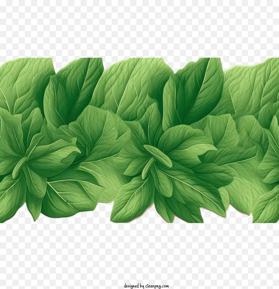 leaf border