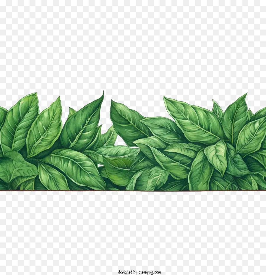 leaf border
