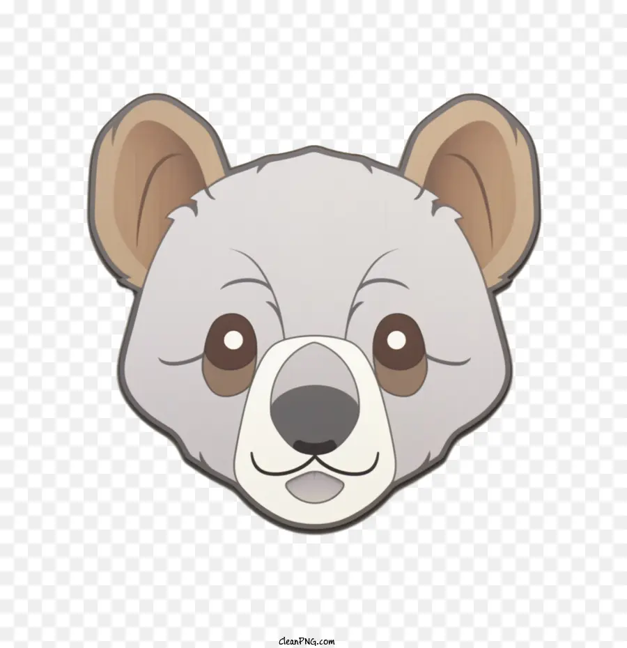 koala orso simpatici animali da cartone animato - 
