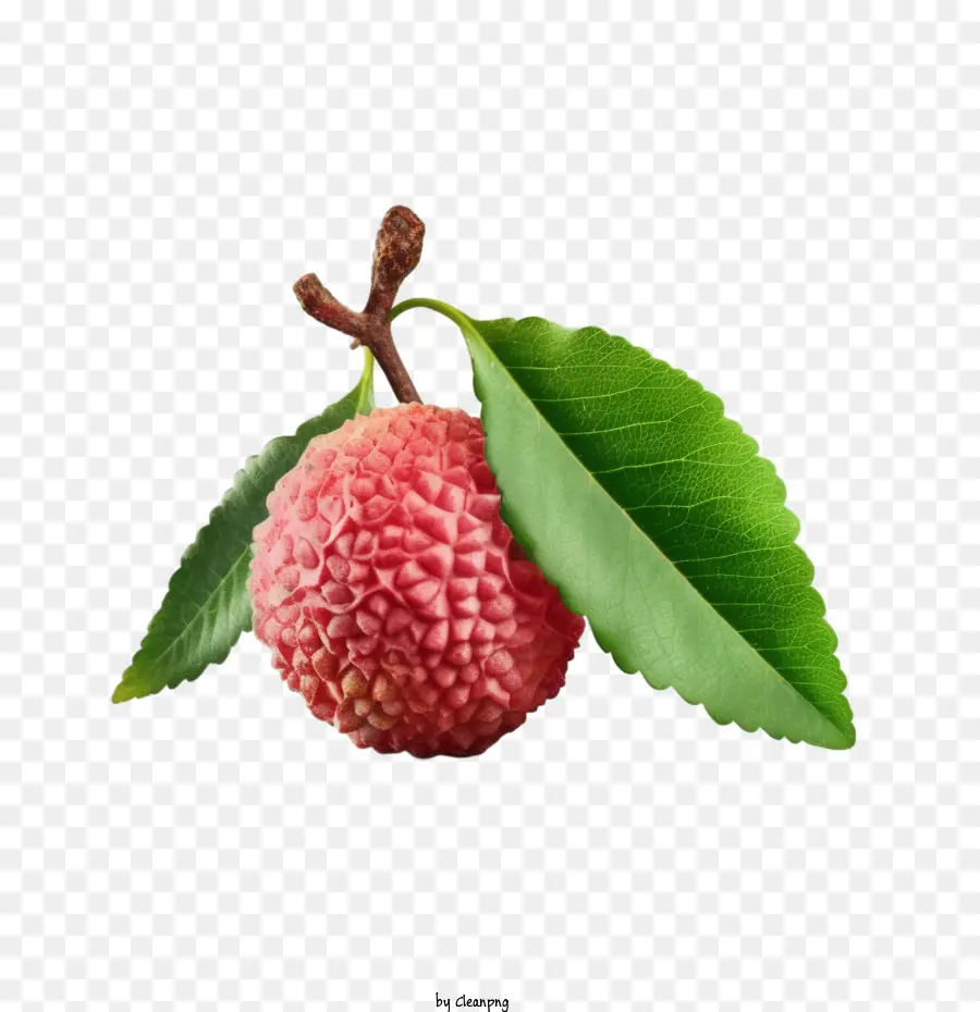 Lychee Lychee Fruit Apple trái cây lichee - 