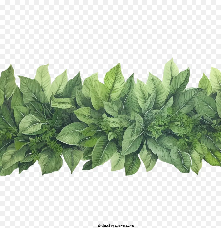 Leaf Border