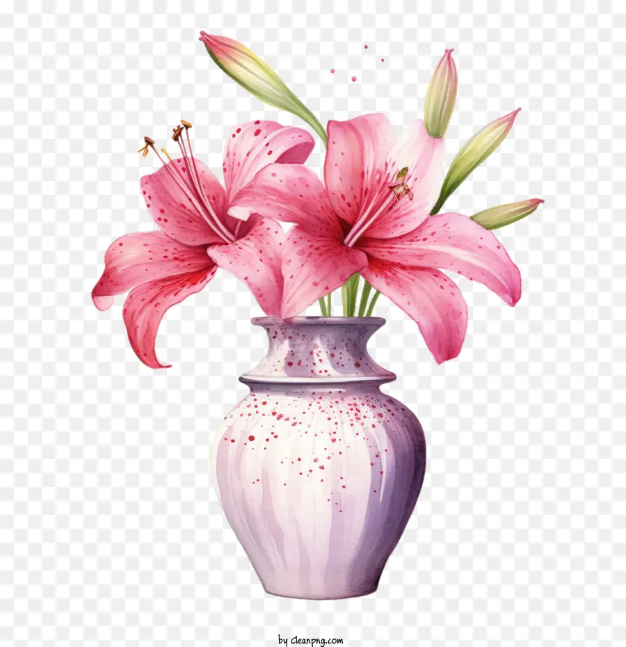 Hoa Lily Hoa Lily