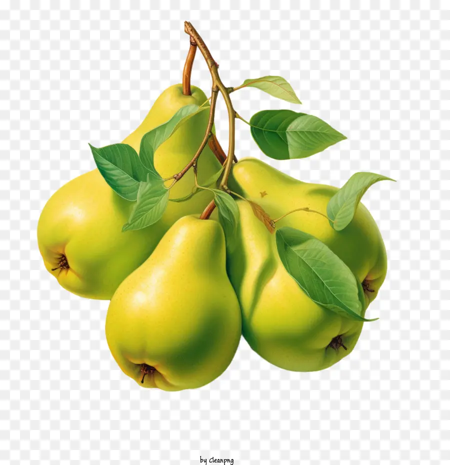 pears fruit
 pears pear fruit green