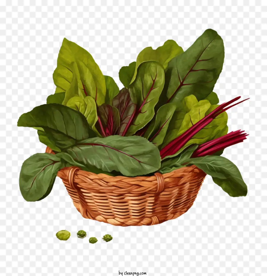 bietole
 
barbabietole di spinaci vegetali verdure - 