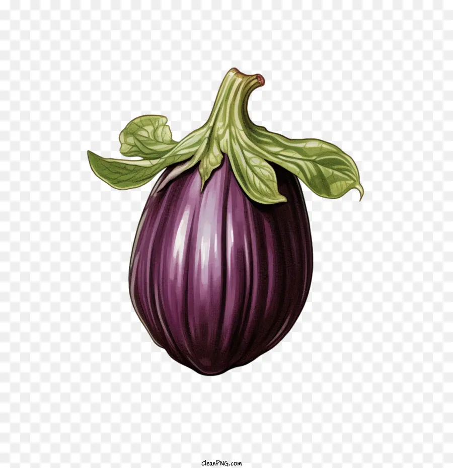 eggplant purple eggplant vegetable fruit