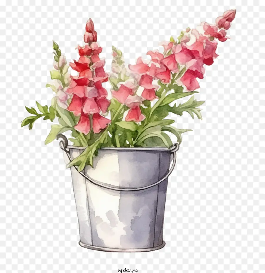snapdragon flower pink flowers watercolor painting bucket vase