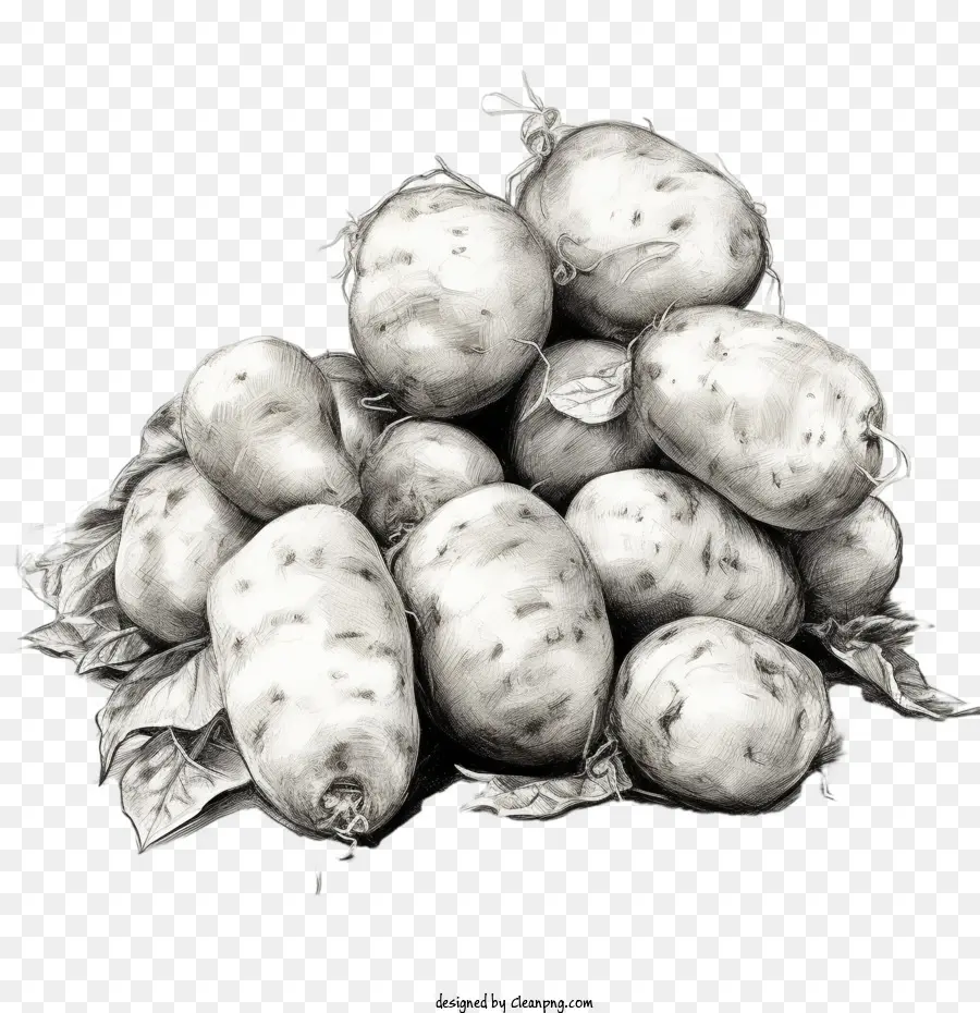 Kartoffelkartoffeln Wurzel Gemüse Gemüse Schwarz und Weiß - 