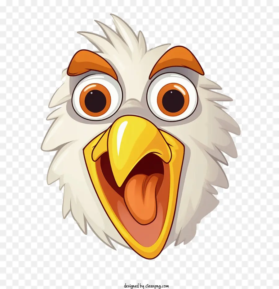 chicken bald eagle white bird head profile