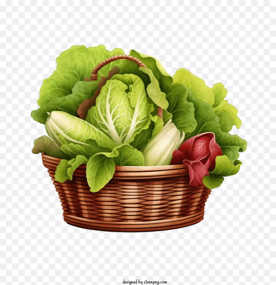 Immagine di lattuga di cesto di verdure rosse e verdi cipolle verdi e ravanelli - 